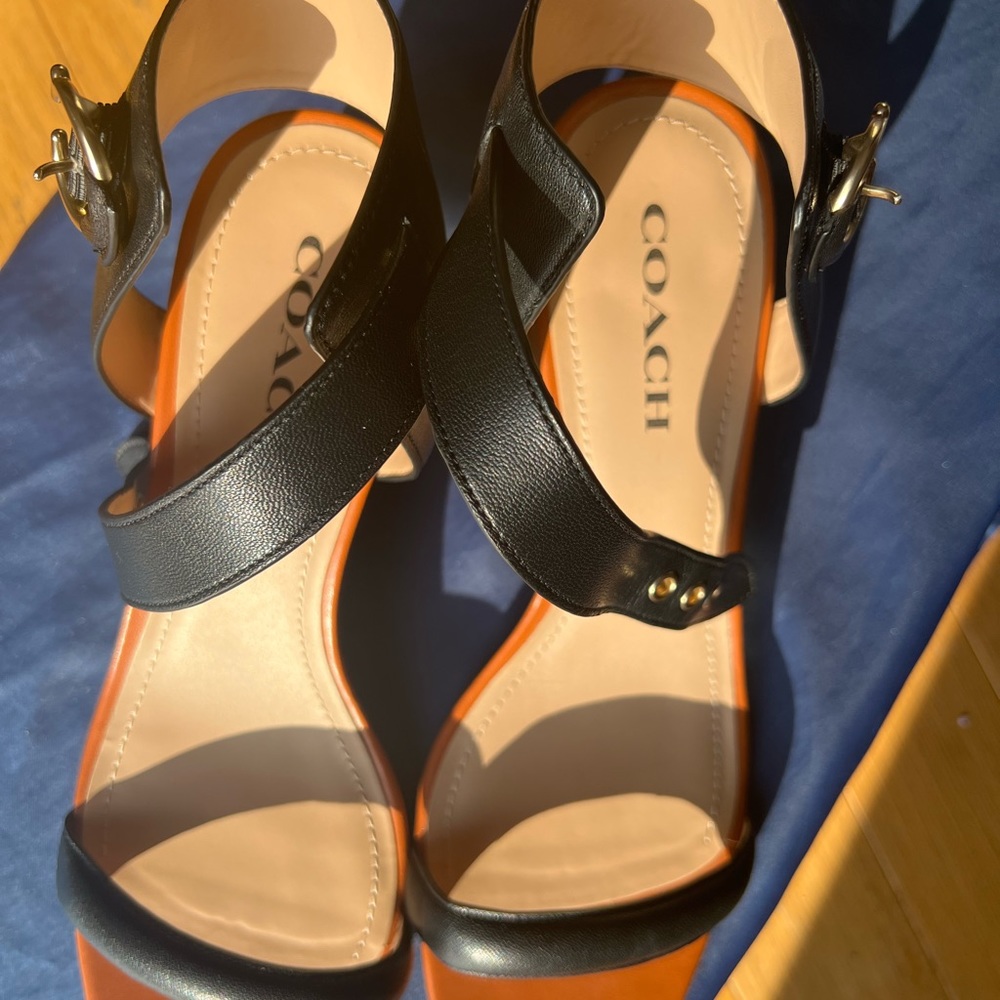 Classy, sassy COACH open-toe strap shoes! Horseshoe thick heel. Size 10.